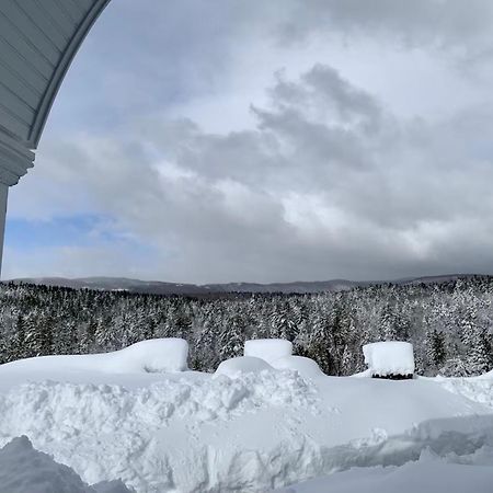 Adams Hill House Retreat - Artist-Architect'S Estate, Newfane Vermont מראה חיצוני תמונה