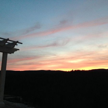 Adams Hill House Retreat - Artist-Architect'S Estate, Newfane Vermont מראה חיצוני תמונה