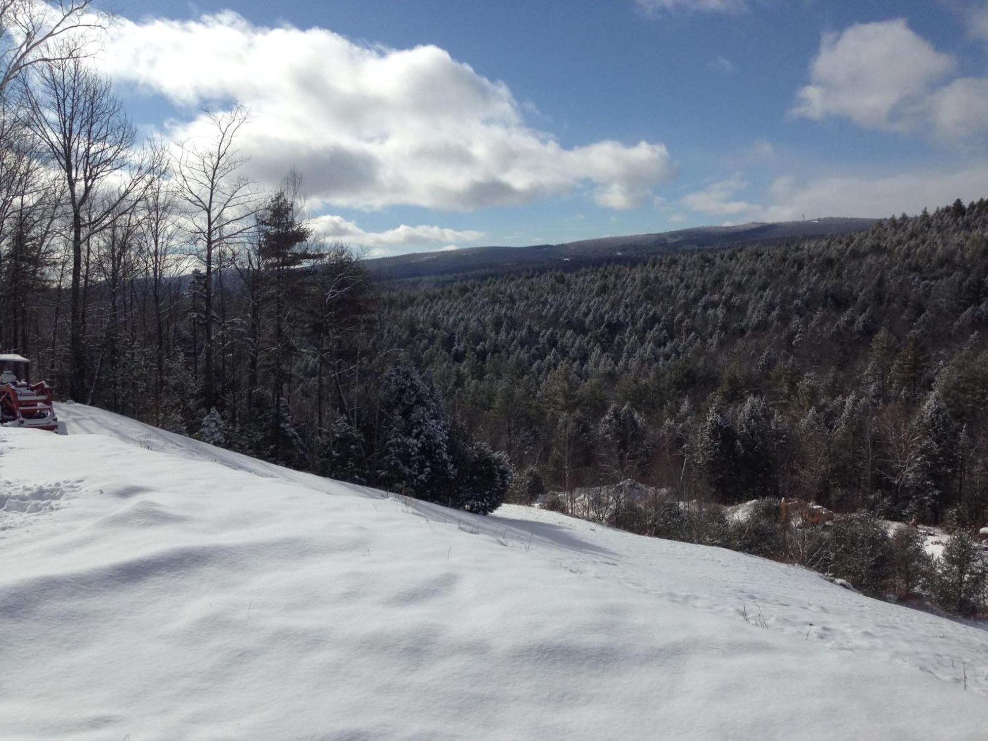 Adams Hill House Retreat - Artist-Architect'S Estate, Newfane Vermont מראה חיצוני תמונה