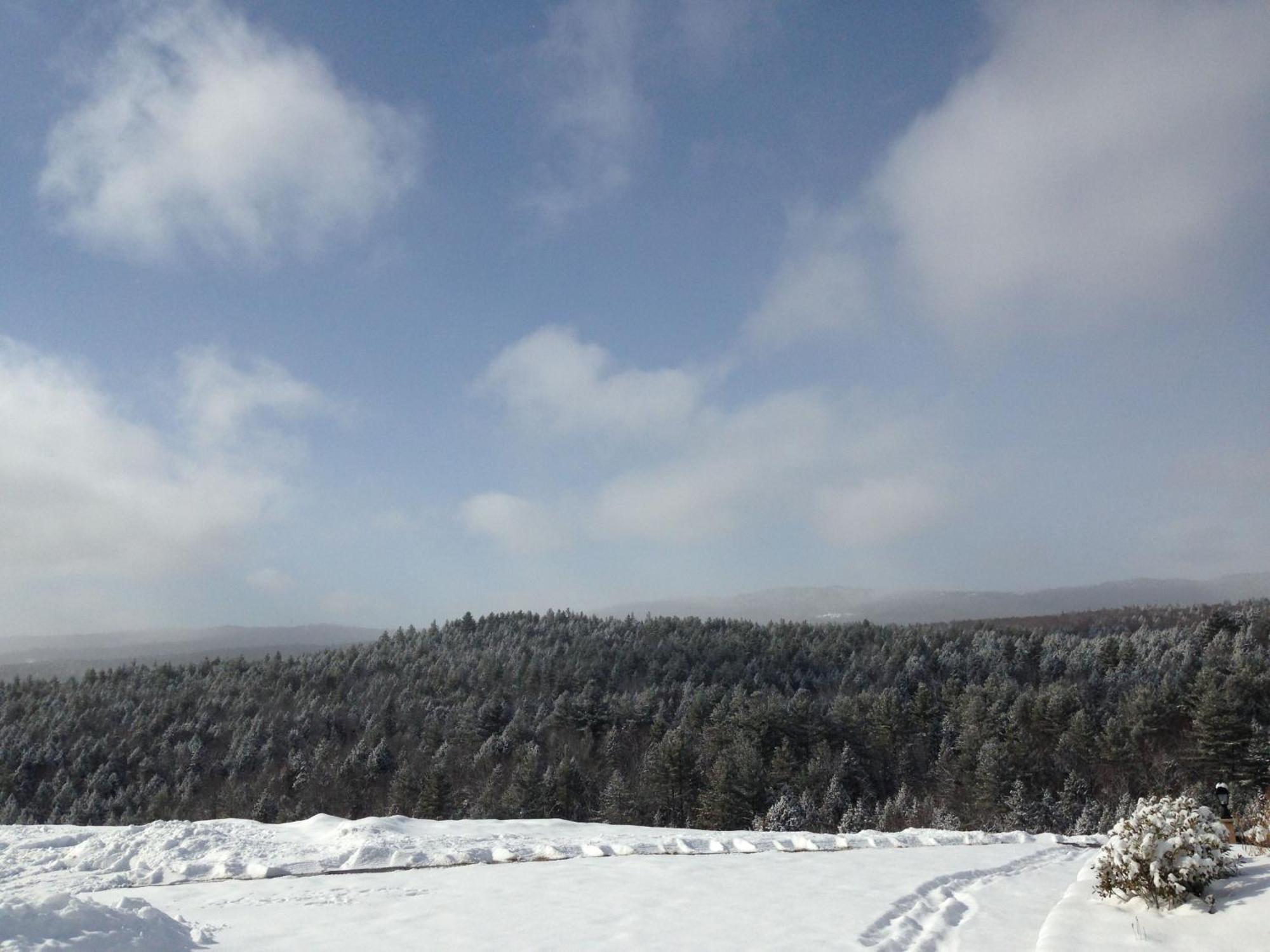 Adams Hill House Retreat - Artist-Architect'S Estate, Newfane Vermont מראה חיצוני תמונה