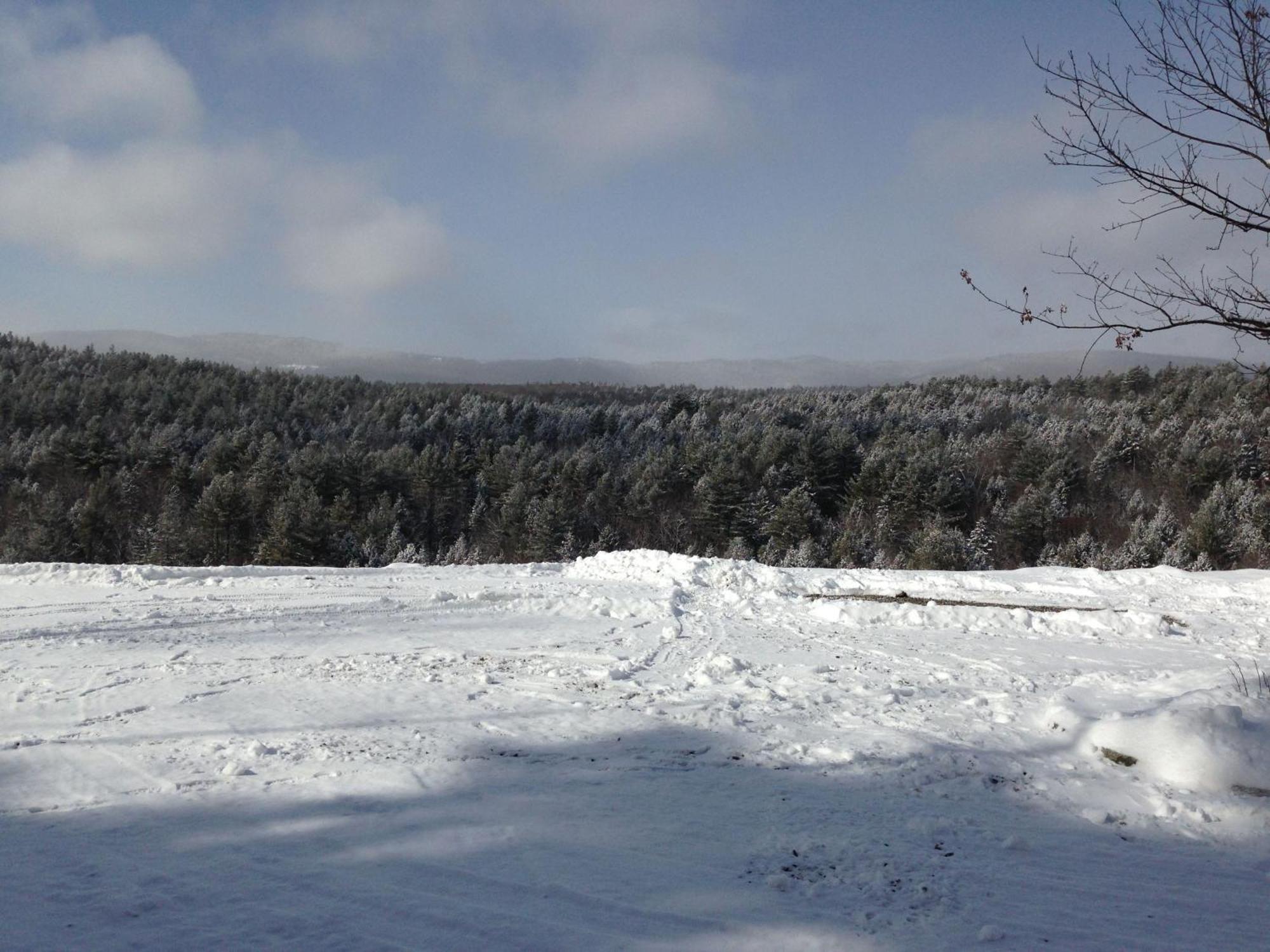 Adams Hill House Retreat - Artist-Architect'S Estate, Newfane Vermont מראה חיצוני תמונה