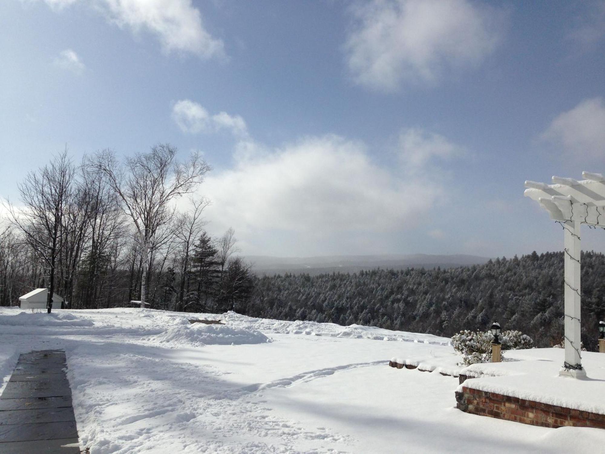 Adams Hill House Retreat - Artist-Architect'S Estate, Newfane Vermont מראה חיצוני תמונה
