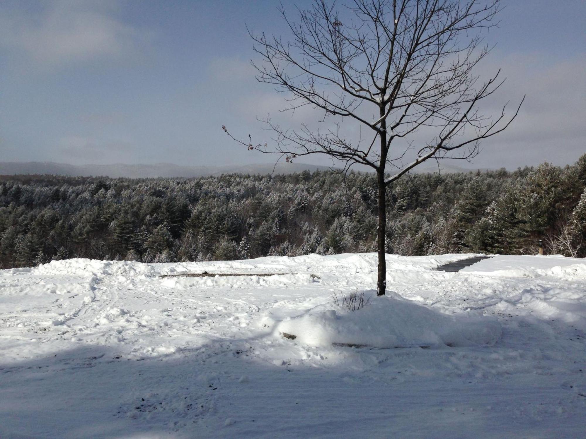 Adams Hill House Retreat - Artist-Architect'S Estate, Newfane Vermont מראה חיצוני תמונה