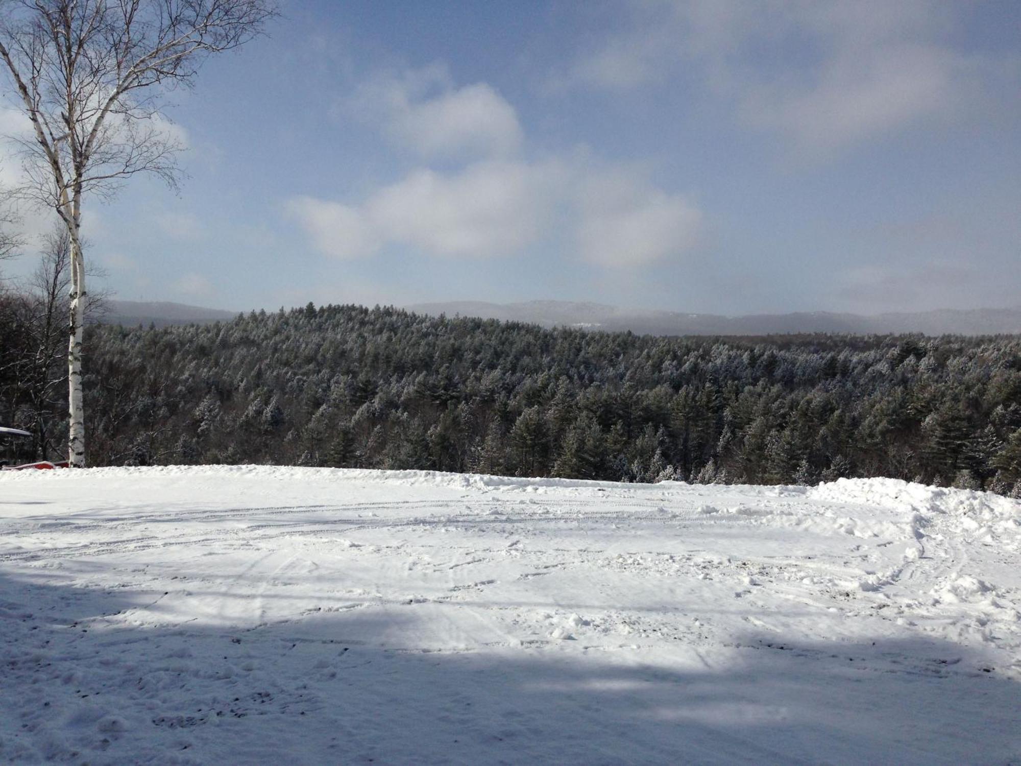 Adams Hill House Retreat - Artist-Architect'S Estate, Newfane Vermont מראה חיצוני תמונה