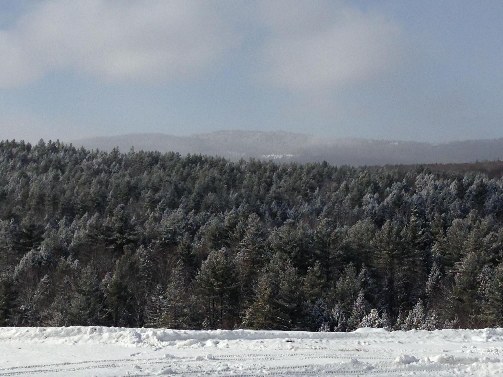 Adams Hill House Retreat - Artist-Architect'S Estate, Newfane Vermont מראה חיצוני תמונה