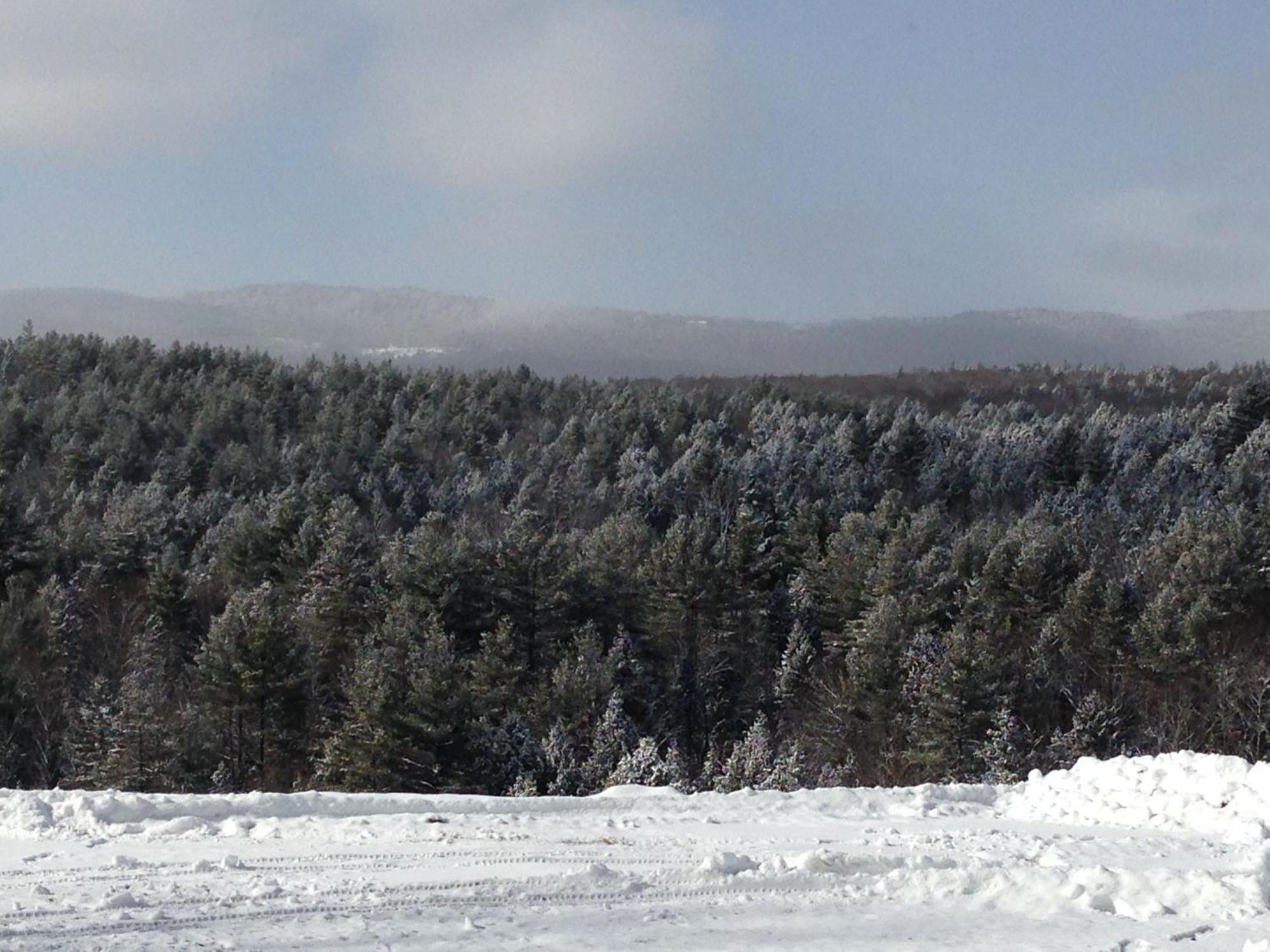 Adams Hill House Retreat - Artist-Architect'S Estate, Newfane Vermont מראה חיצוני תמונה
